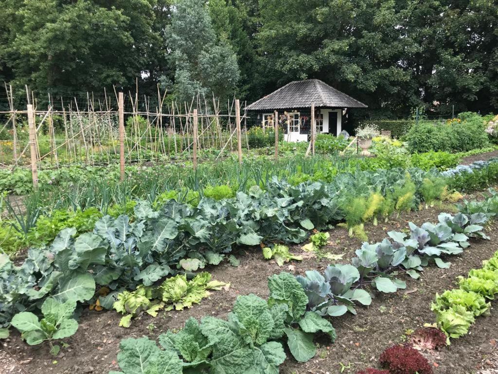 Het Wagenhuis Loon op Zand Exterior foto